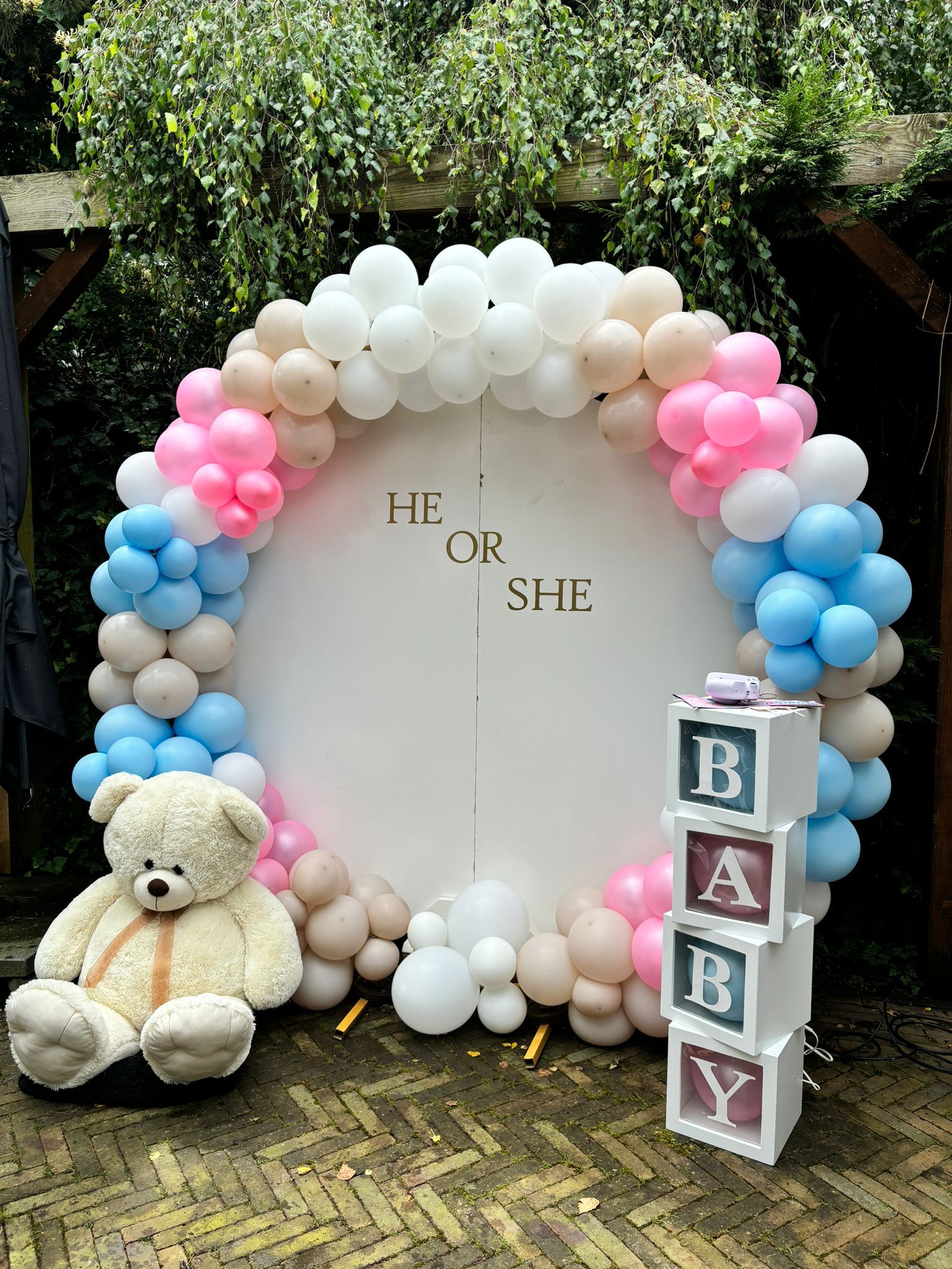 backdrop ballonnen reveal