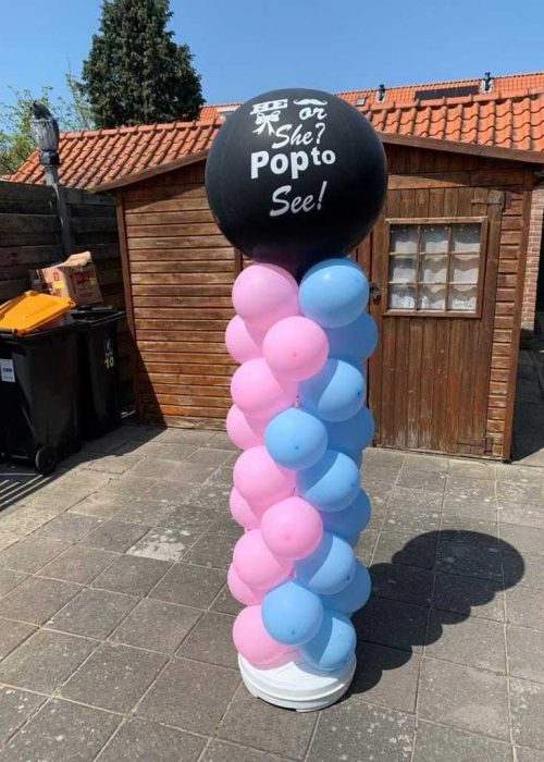 Ballonpilaar gender reveal 1